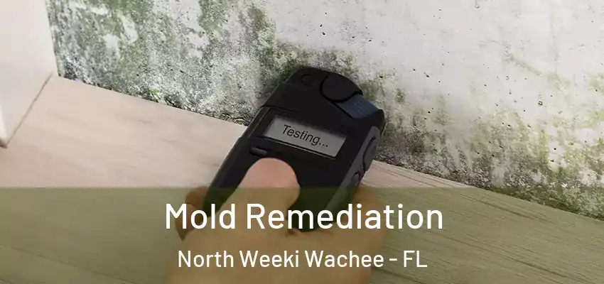  Mold Remediation North Weeki Wachee - FL