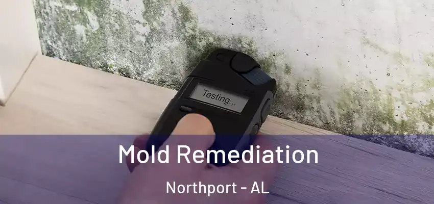Mold Remediation Northport - AL