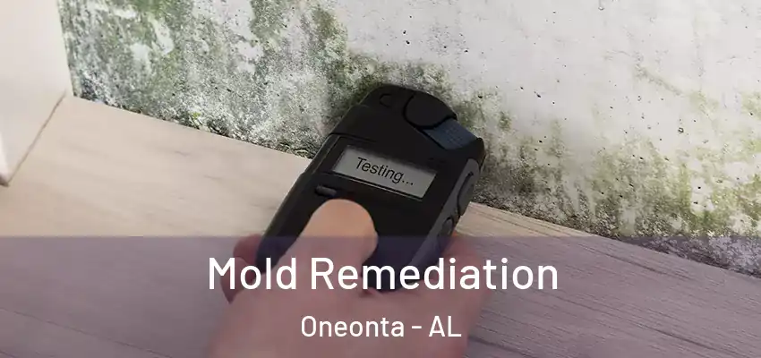  Mold Remediation Oneonta - AL