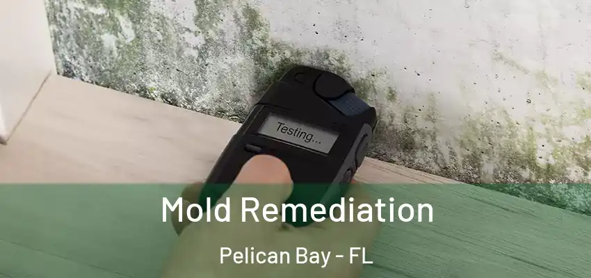  Mold Remediation Pelican Bay - FL