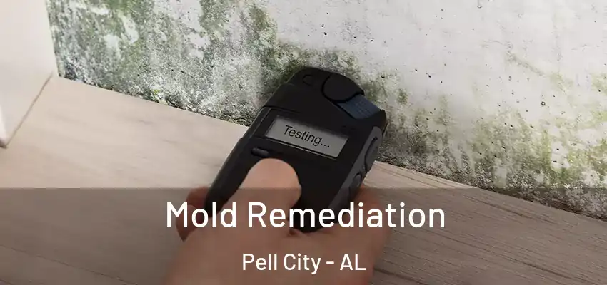  Mold Remediation Pell City - AL