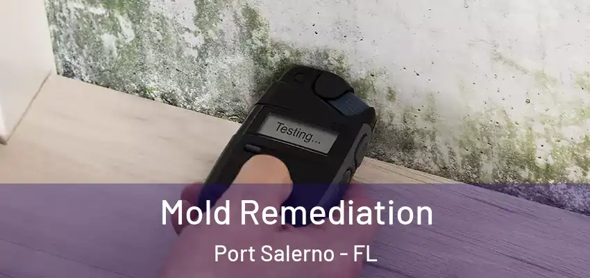 Mold Remediation Port Salerno - FL