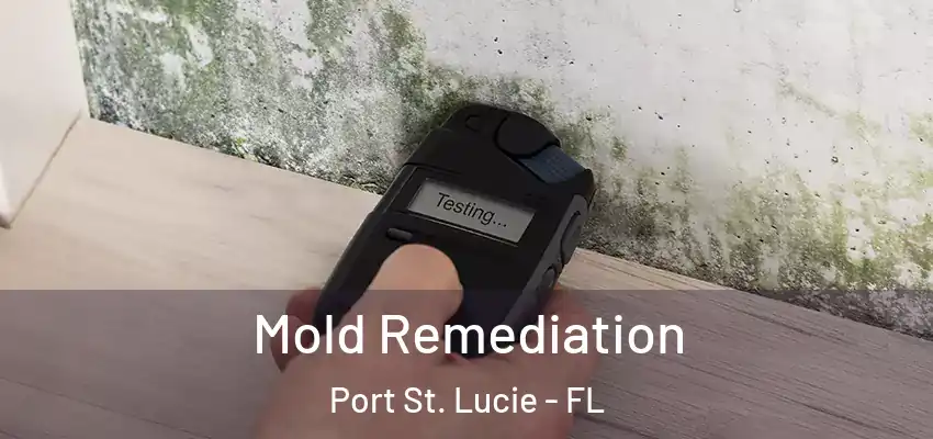  Mold Remediation Port St. Lucie - FL