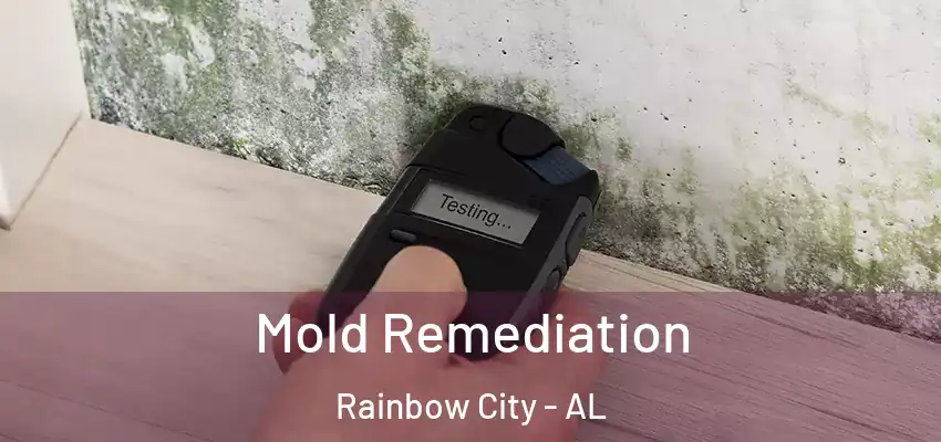Mold Remediation Rainbow City - AL