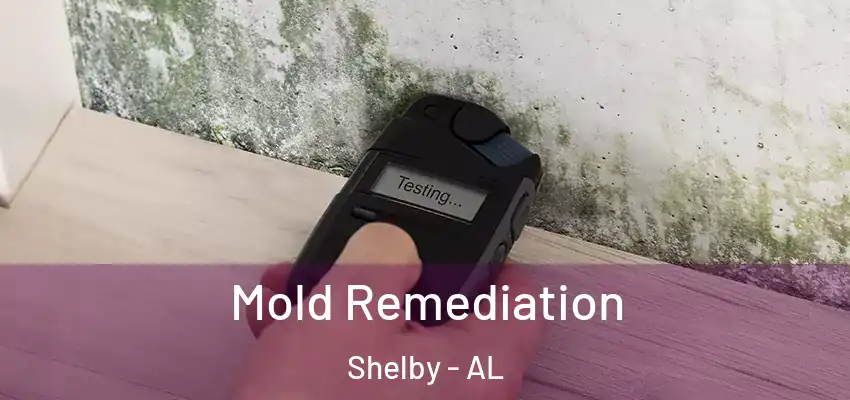  Mold Remediation Shelby - AL