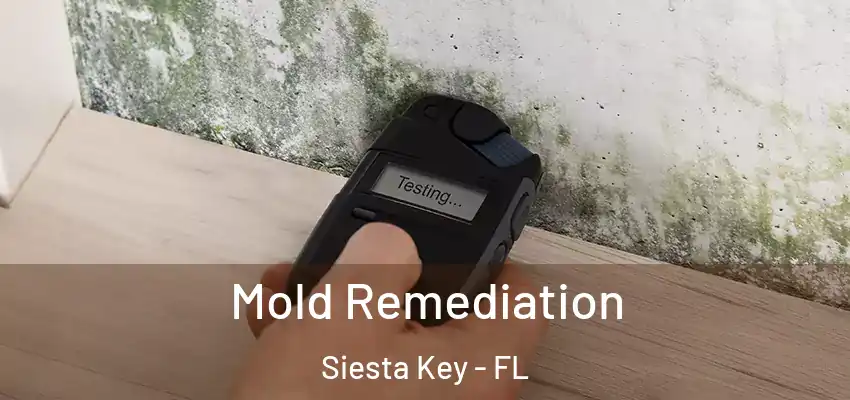  Mold Remediation Siesta Key - FL