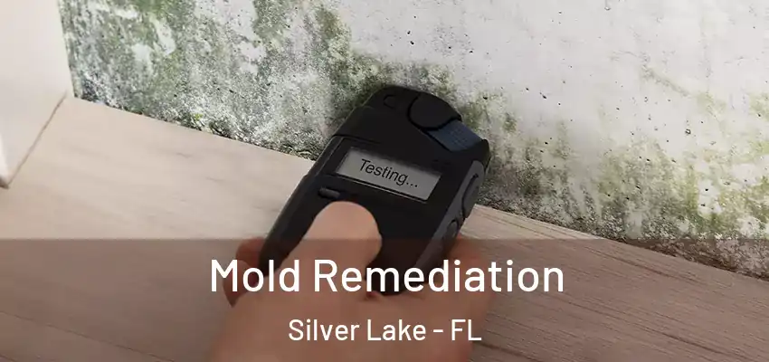  Mold Remediation Silver Lake - FL