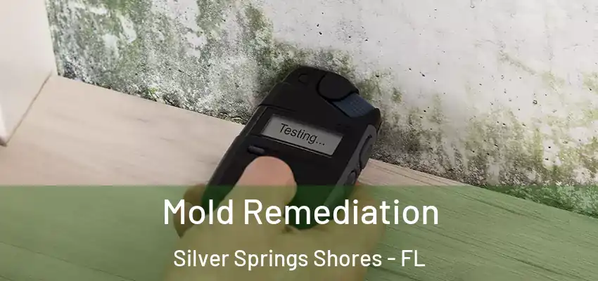  Mold Remediation Silver Springs Shores - FL