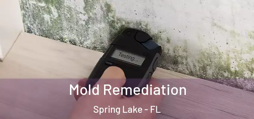  Mold Remediation Spring Lake - FL