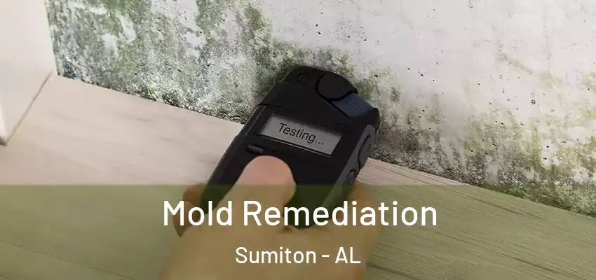  Mold Remediation Sumiton - AL