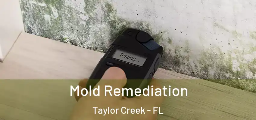  Mold Remediation Taylor Creek - FL