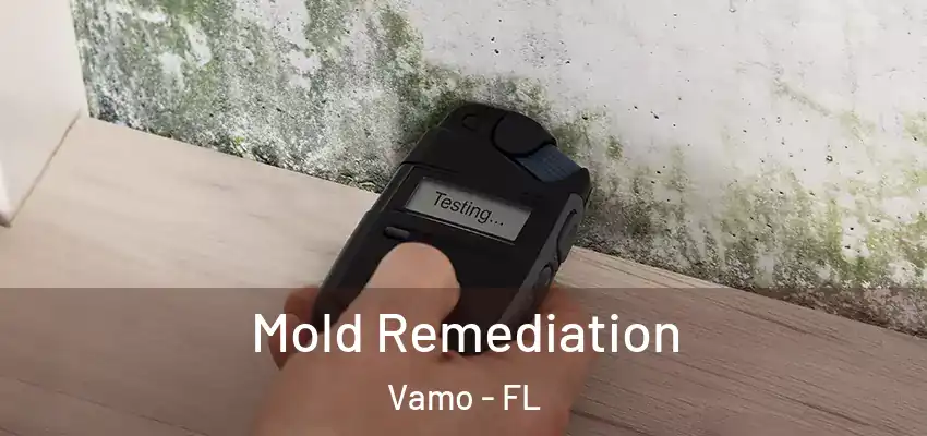  Mold Remediation Vamo - FL