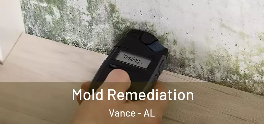 Mold Remediation Vance - AL