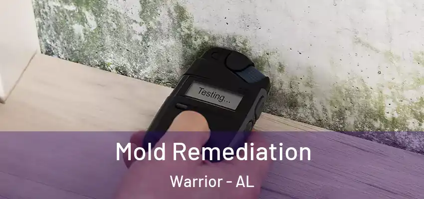  Mold Remediation Warrior - AL