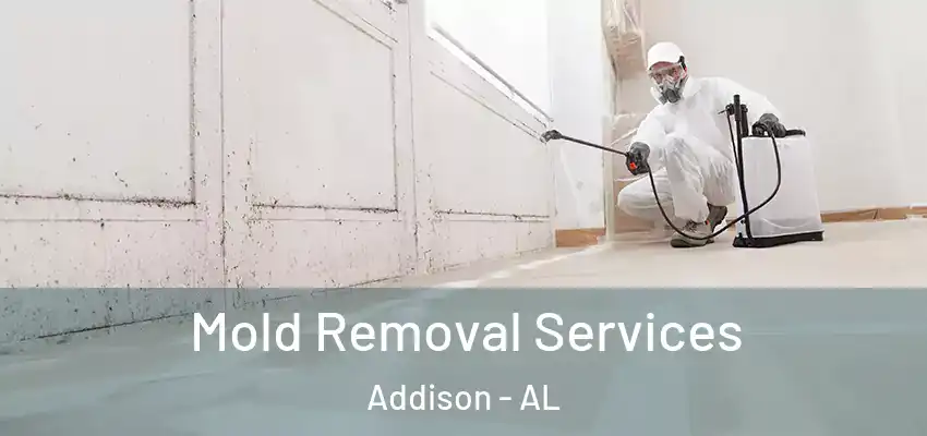  Mold Removal Services Addison - AL