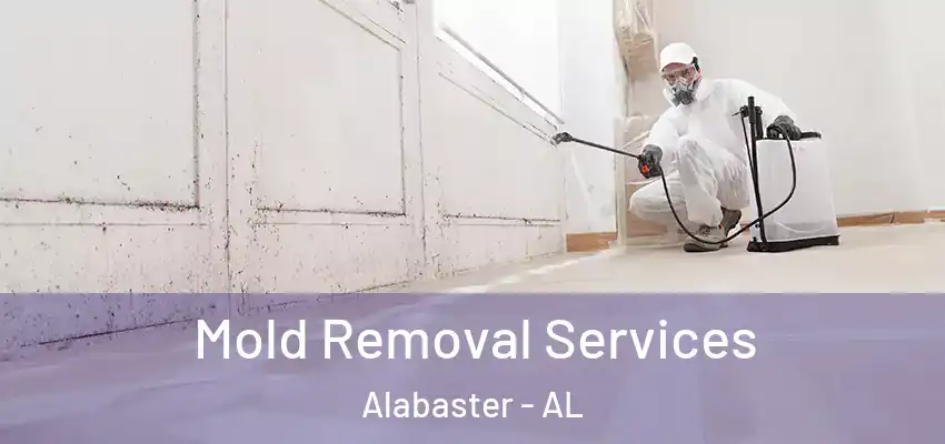  Mold Removal Services Alabaster - AL
