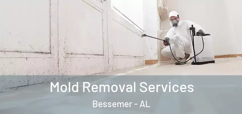  Mold Removal Services Bessemer - AL