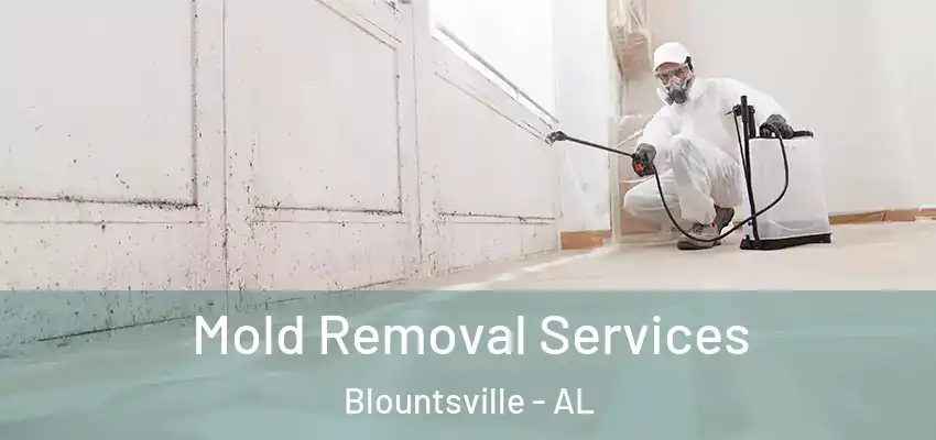 Mold Removal Services Blountsville - AL