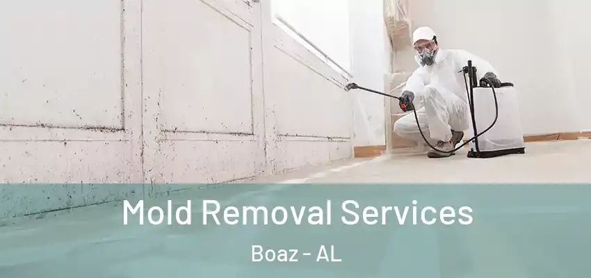  Mold Removal Services Boaz - AL
