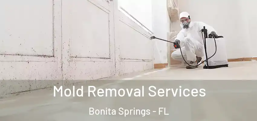  Mold Removal Services Bonita Springs - FL