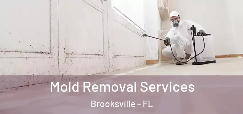  Mold Removal Services Brooksville - FL