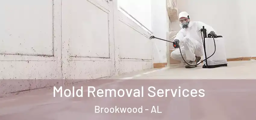  Mold Removal Services Brookwood - AL
