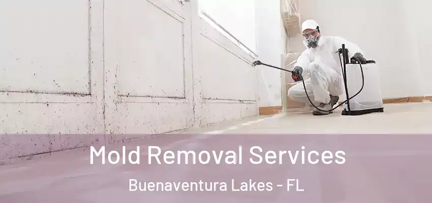  Mold Removal Services Buenaventura Lakes - FL