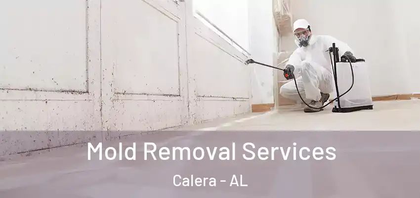  Mold Removal Services Calera - AL
