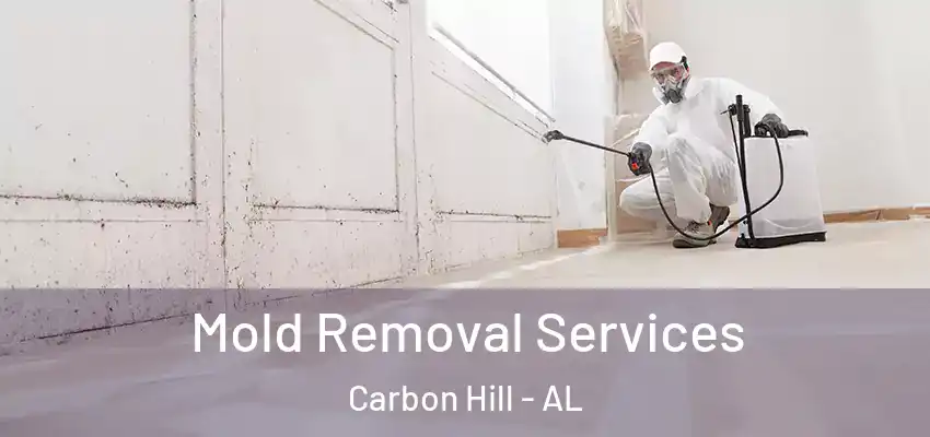 Mold Removal Services Carbon Hill - AL