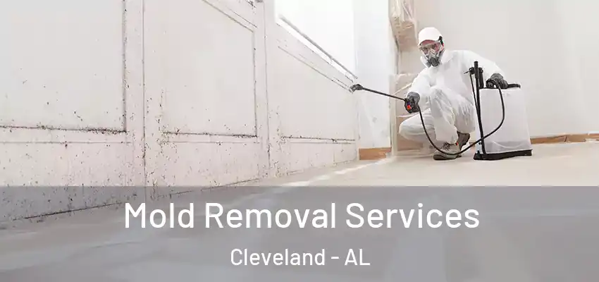  Mold Removal Services Cleveland - AL