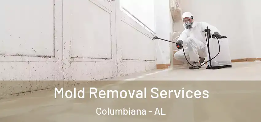  Mold Removal Services Columbiana - AL