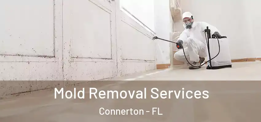  Mold Removal Services Connerton - FL