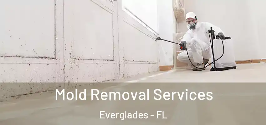  Mold Removal Services Everglades - FL