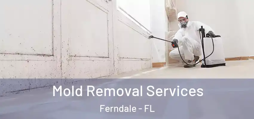  Mold Removal Services Ferndale - FL