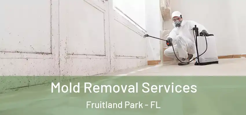  Mold Removal Services Fruitland Park - FL