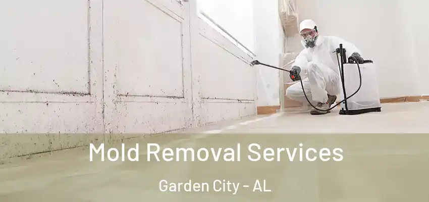 Mold Removal Services Garden City - AL