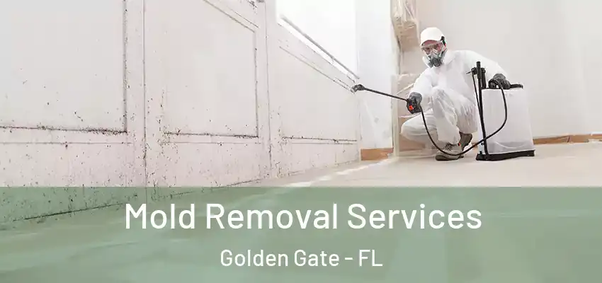  Mold Removal Services Golden Gate - FL