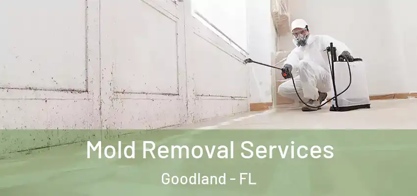  Mold Removal Services Goodland - FL