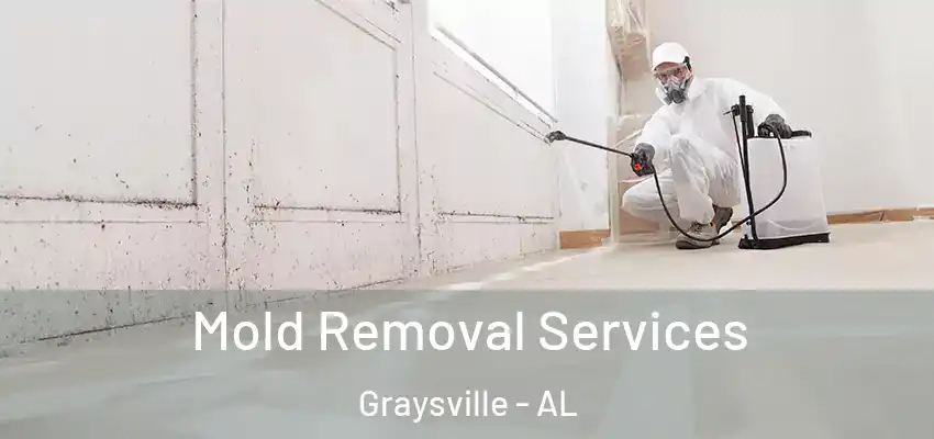  Mold Removal Services Graysville - AL