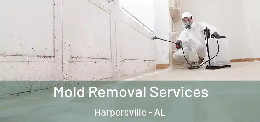  Mold Removal Services Harpersville - AL