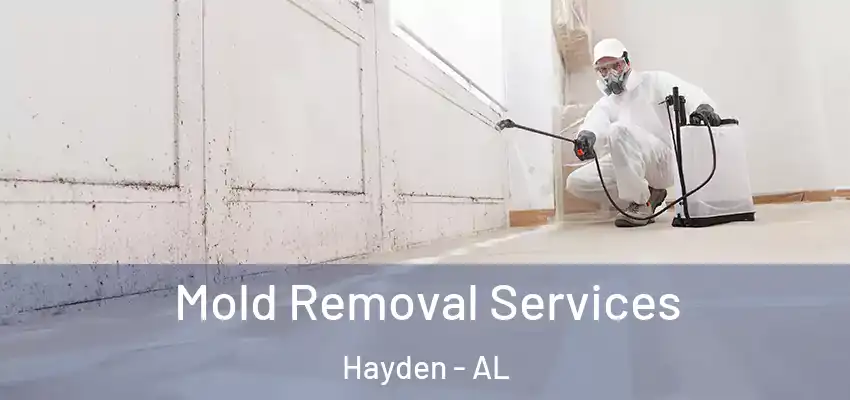  Mold Removal Services Hayden - AL