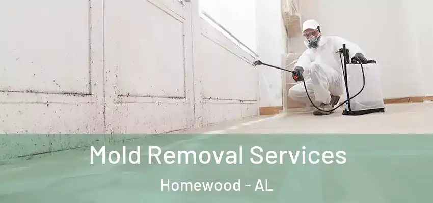  Mold Removal Services Homewood - AL