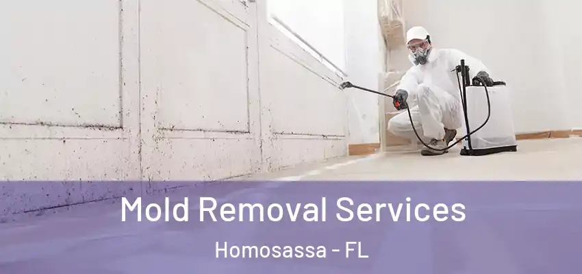  Mold Removal Services Homosassa - FL