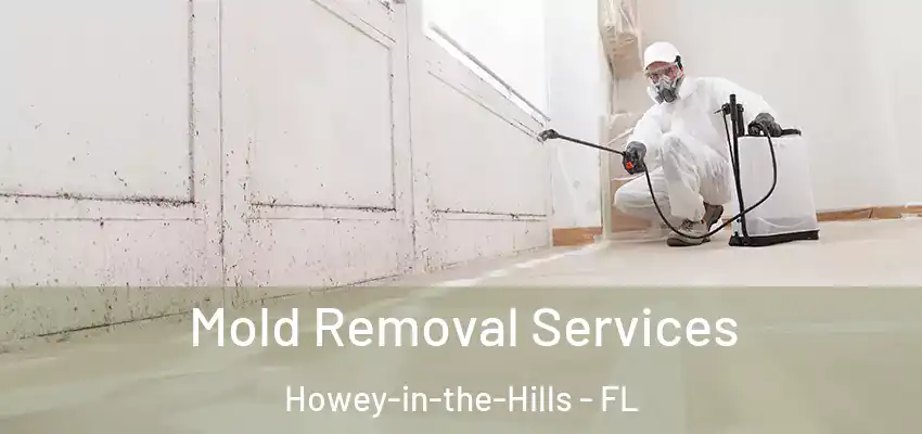  Mold Removal Services Howey-in-the-Hills - FL