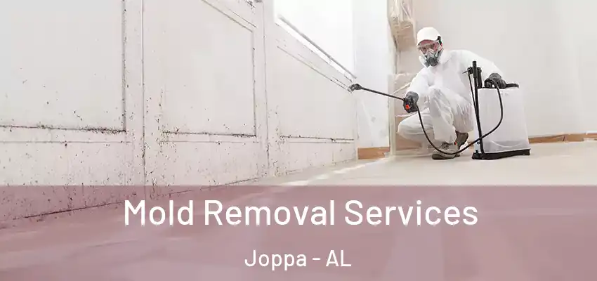  Mold Removal Services Joppa - AL