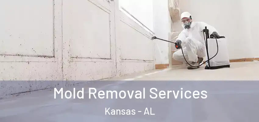  Mold Removal Services Kansas - AL