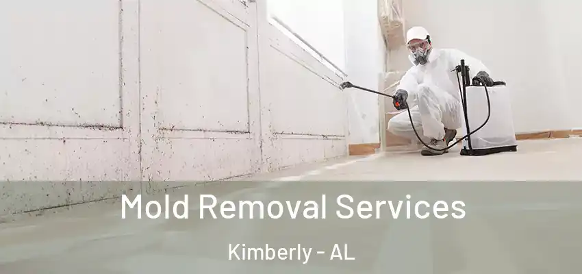  Mold Removal Services Kimberly - AL