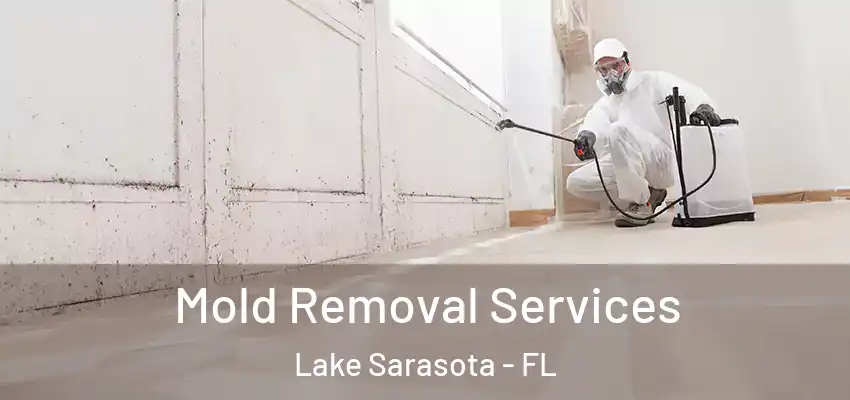  Mold Removal Services Lake Sarasota - FL