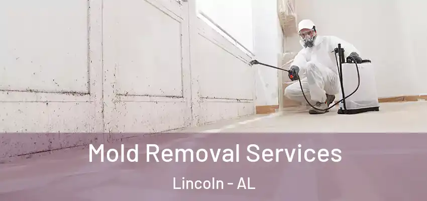  Mold Removal Services Lincoln - AL