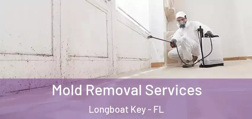  Mold Removal Services Longboat Key - FL